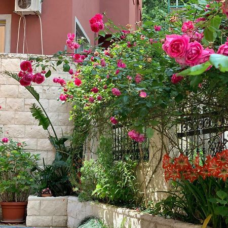 בודווה Apartments Zvicer - Milica מראה חיצוני תמונה