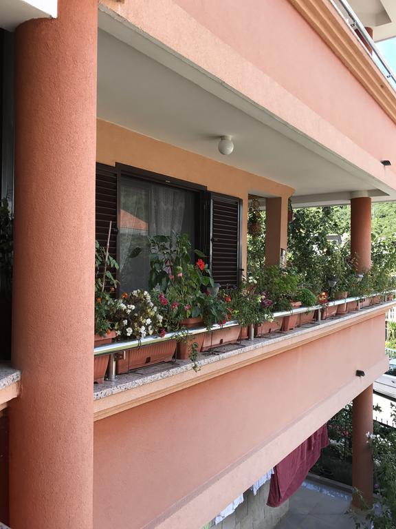 בודווה Apartments Zvicer - Milica מראה חיצוני תמונה