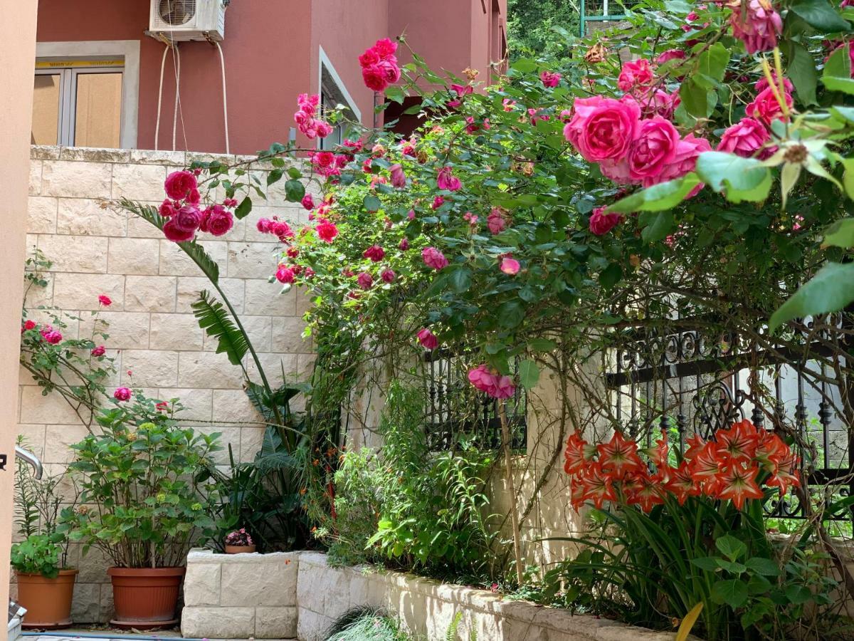 בודווה Apartments Zvicer - Milica מראה חיצוני תמונה